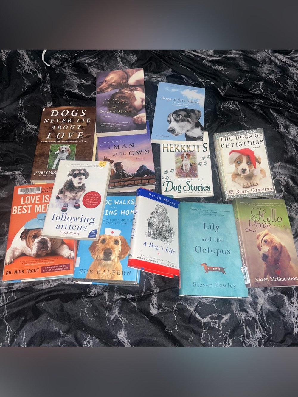 12 Assorted Dog lover Books Collection old lily and the octopus a man of his own